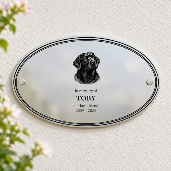 Personalised polished stainless steel oval plaque 250 × 150 mm, shown with example wording