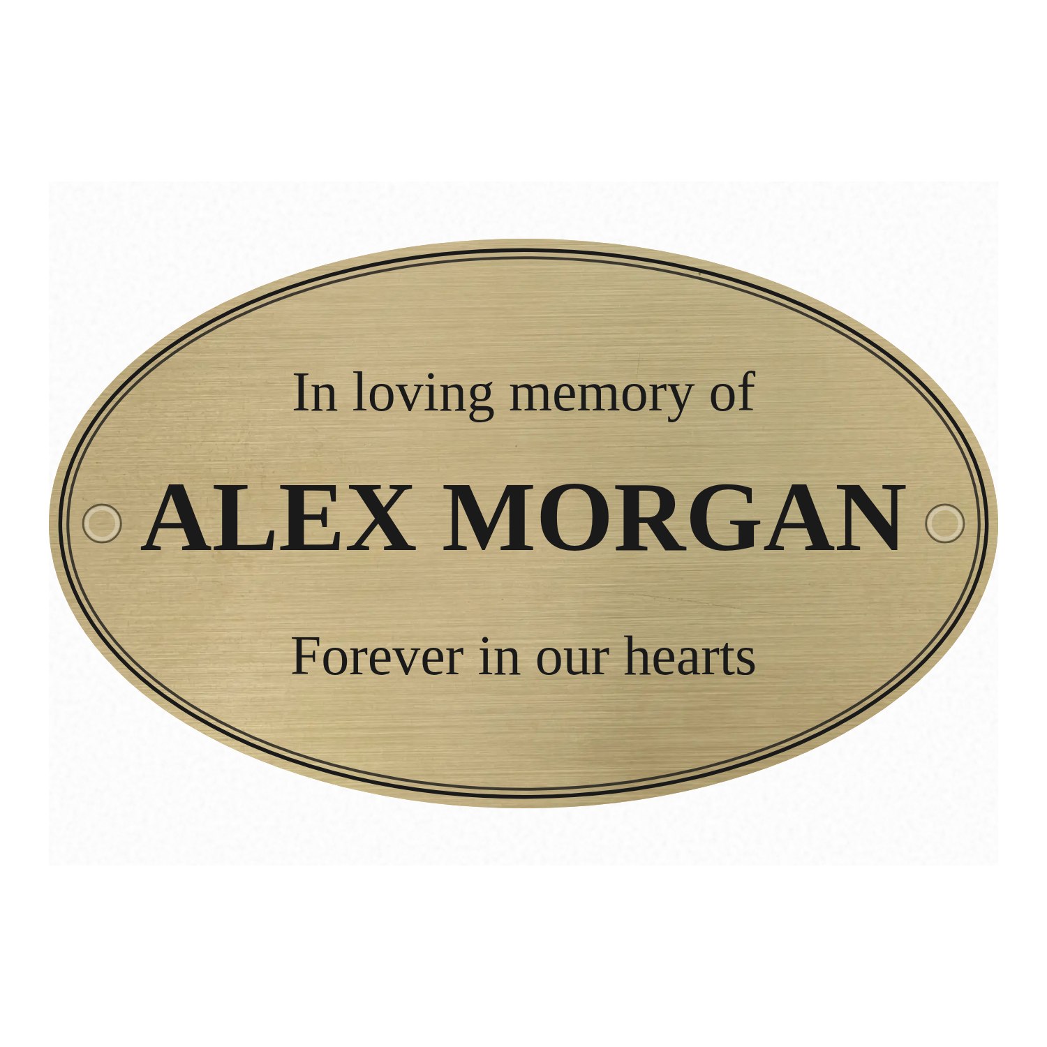 Personalised brushed brass oval plaque 250 × 150 mm design example