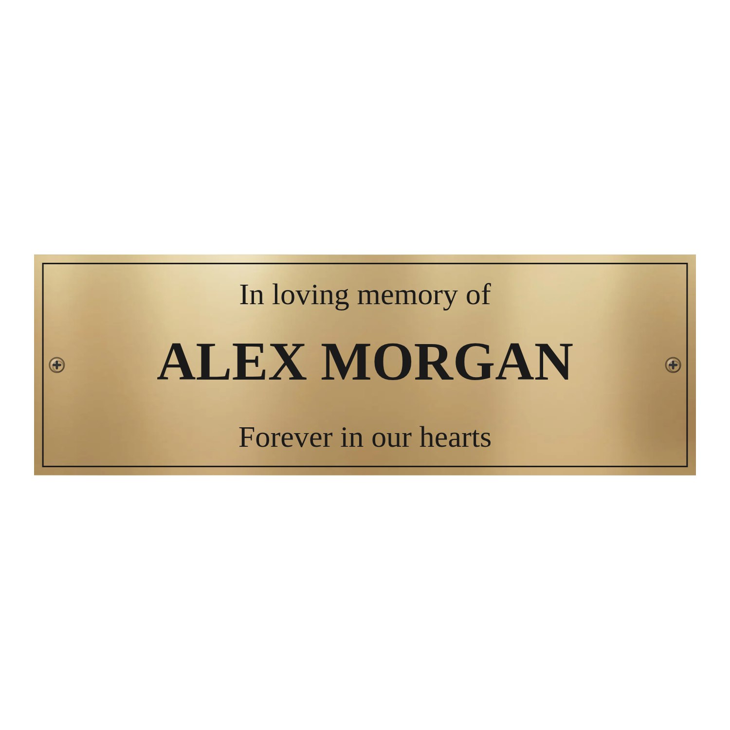Personalised polished brass bench plaque 225 × 75 mm design example