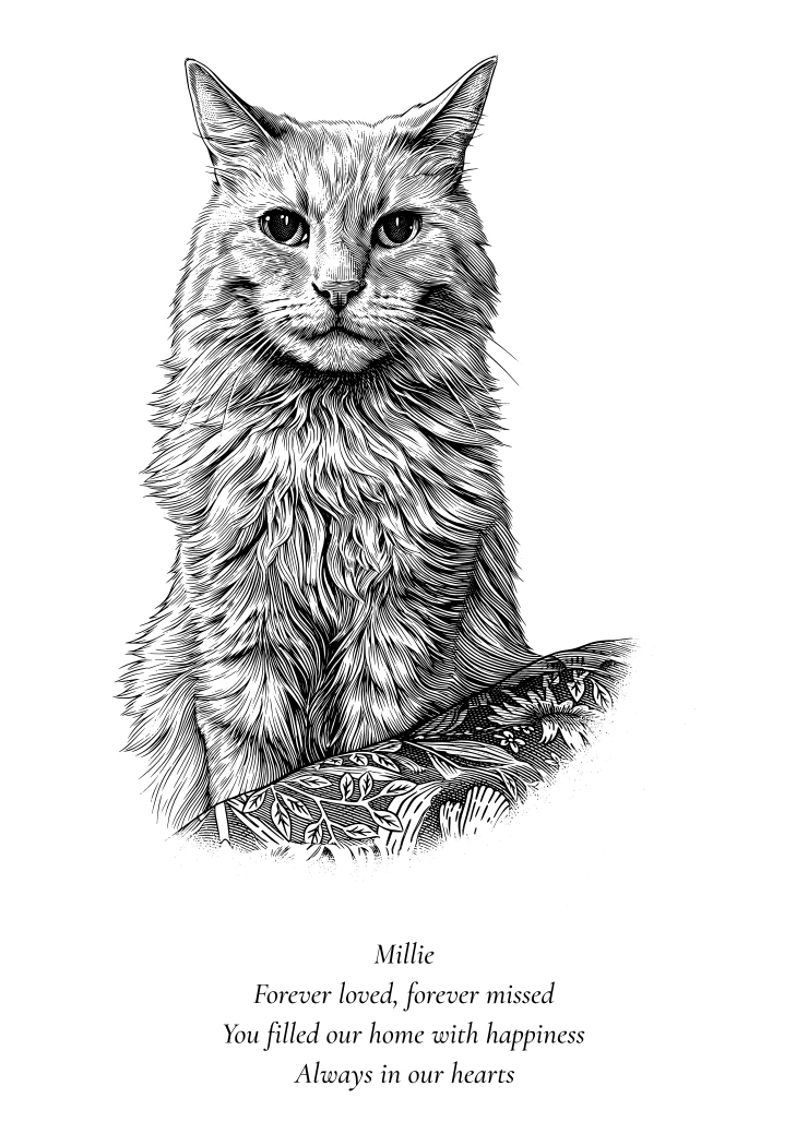 The line engraving artwork drawn from Millie’s photo, with her name and a short tribute