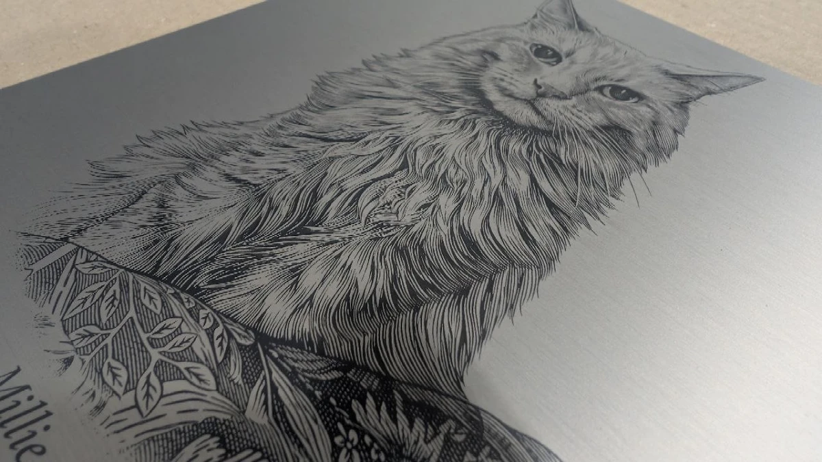 Close-up photograph of Millie the cat’s portrait engraved in brushed metal, showing fine fur lines and whiskers